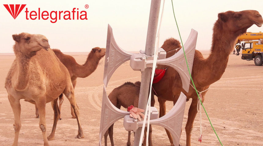 Putting Sirens into Operation in Kuwait: As Seen by Our Colleagues