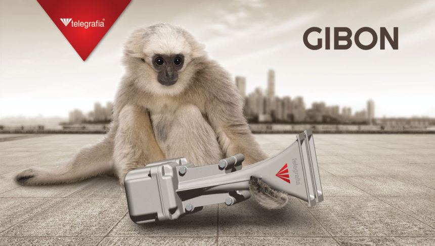 Do You Know … Why the Gibon Electronic Siren Is Called Gibon?