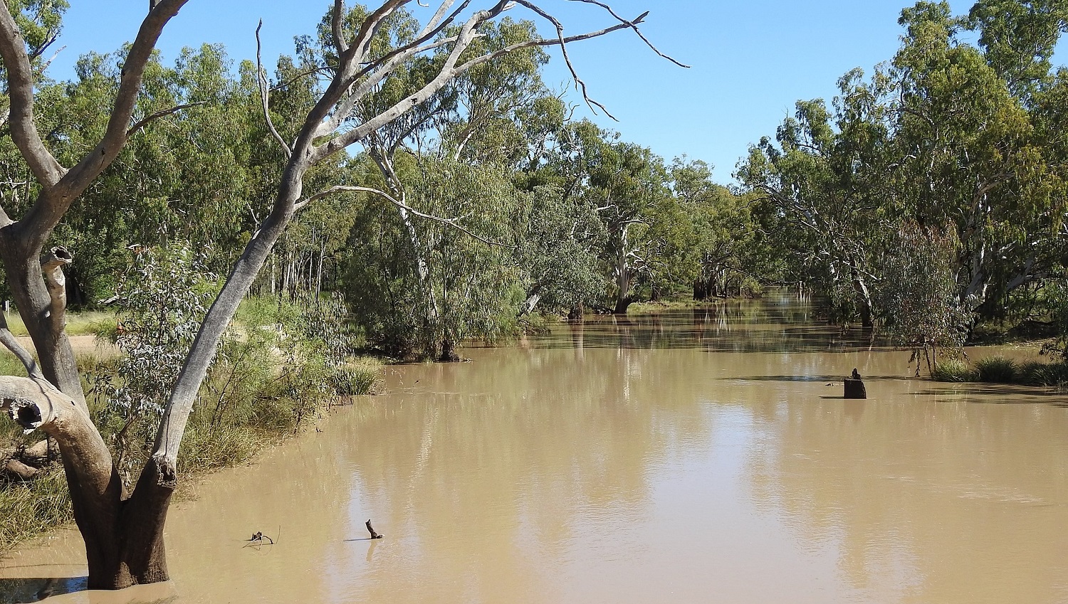 The Greatest Floods in Australia in the Last 50 Years