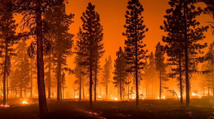 Fires Are Destroying Europe Like Never Before